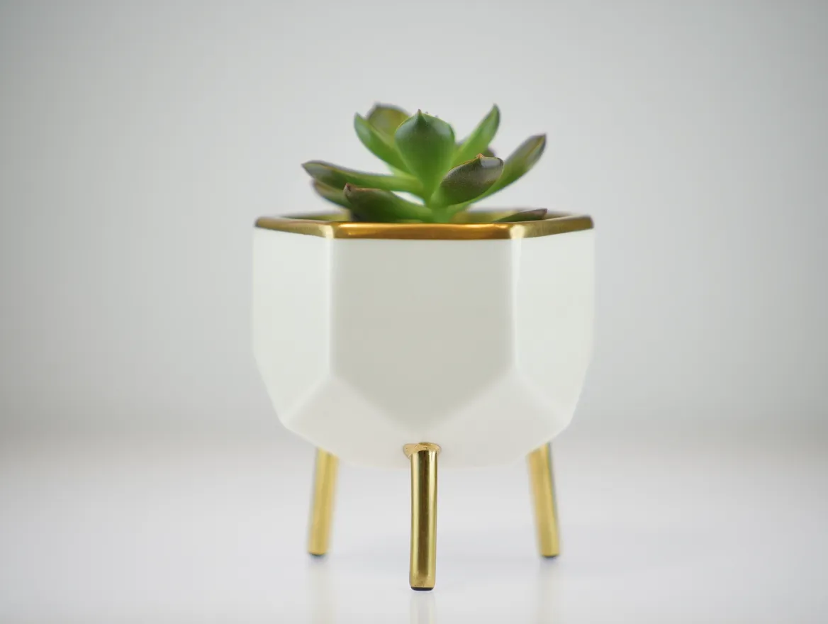 Modern Decorative Planter